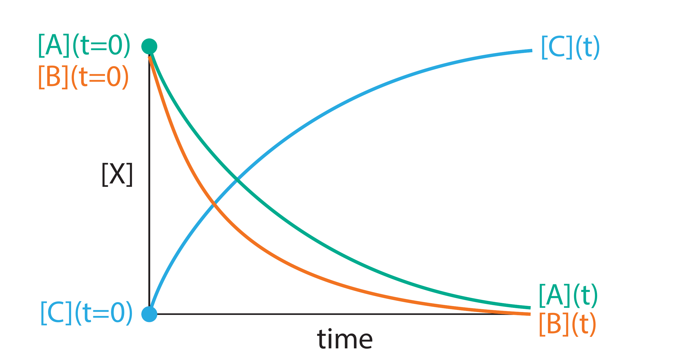 Concentration profiles for the reaction A + 2B → C. Species B is consumed twice as fast as A, reflecting the 2:1 stoichiometric ratio. The rate of formation of C equals the rate of consumption of A.