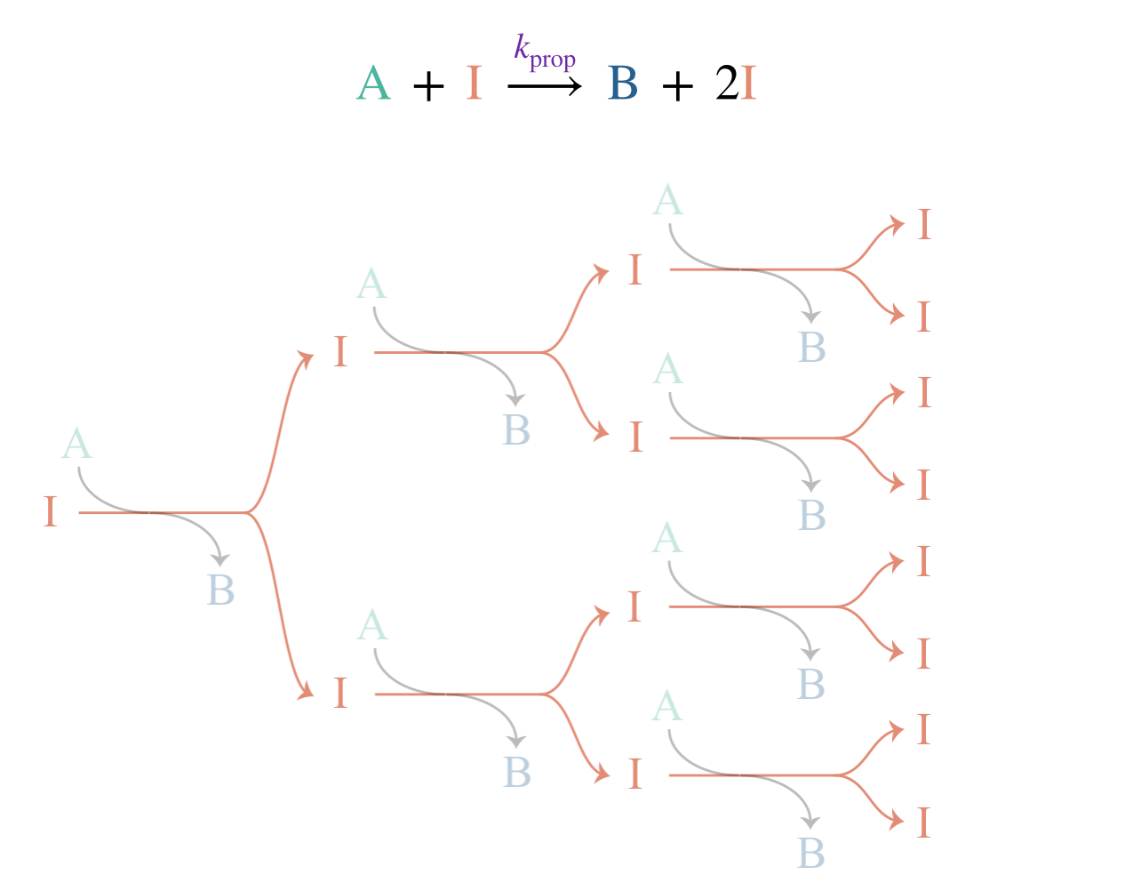 A branching chain reaction: each propagation step produces two intermediates from one, leading to exponential growth in the radical population.