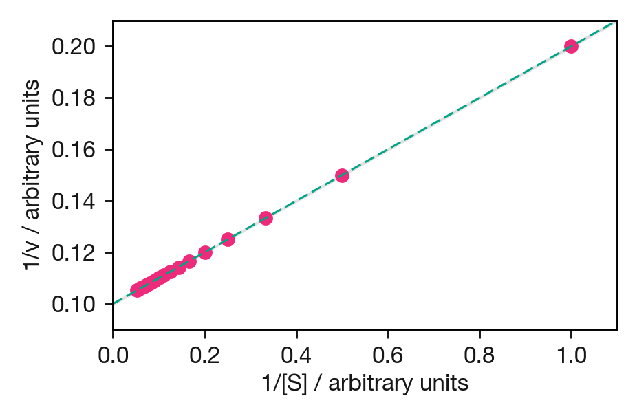Lineweaver–Burk (double-reciprocal) plot of the same data as Figure \@ref(fig:mm-data-with-fit). The reciprocal transformation magnifies errors at low $[\mathrm{S}]$ (high $1/[\mathrm{S}]$), giving those points disproportionate influence on the fit.