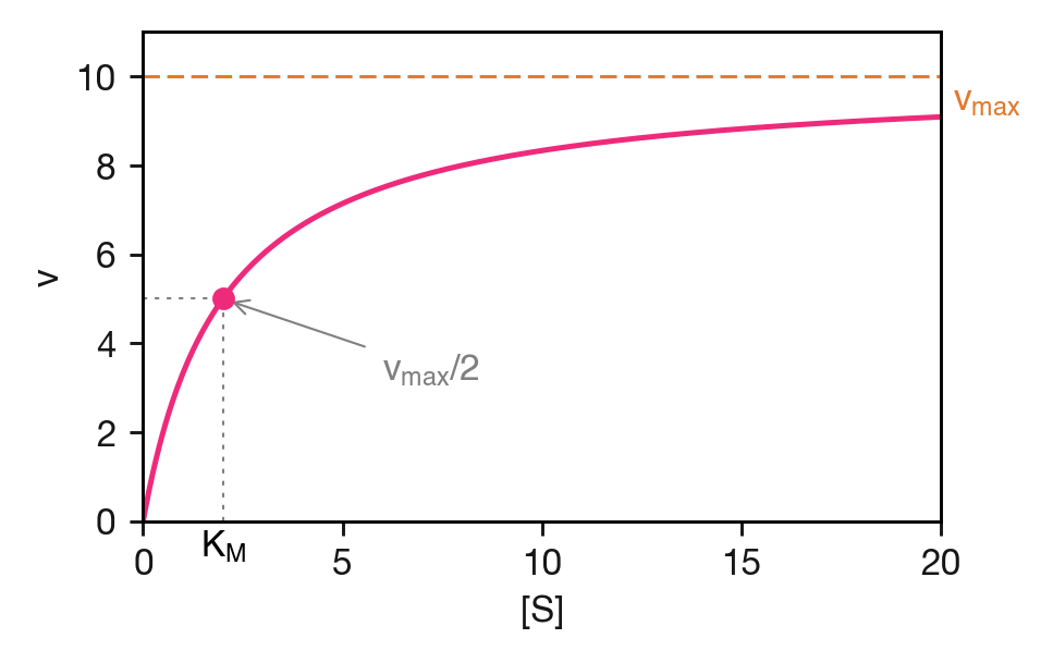 The Michaelis–Menten curve: reaction velocity $v$ as a function of substrate concentration $[\mathrm{S}]$. The substrate concentration at which $v = v_\mathrm{max}/2$ equals $K_\mathrm{M}$.