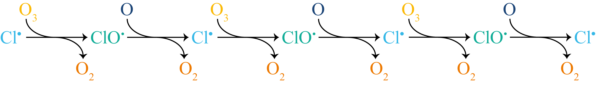 The propagation steps of CFC-catalysed ozone destruction shown as a linear chain. Each step converts one radical into the next, producing O$_2$ at every stage. The chain extends until a termination step removes Cl$^\bullet$ from the cycle.