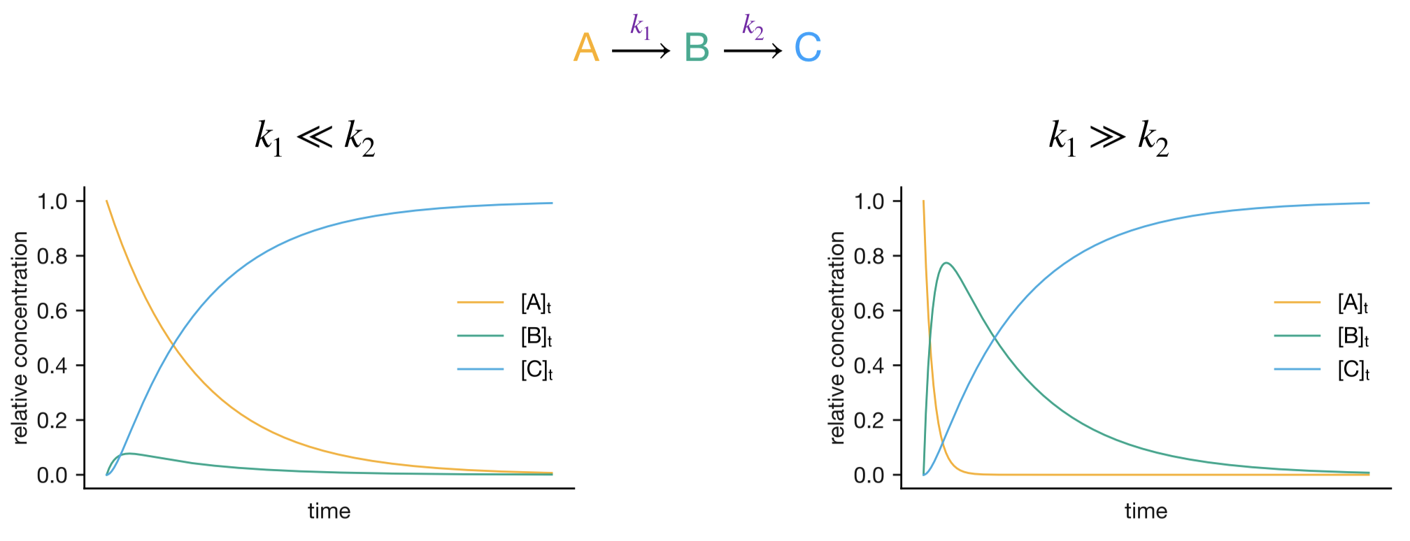Concentration profiles for consecutive reactions in limiting cases. Left: k₁ << k₂, where the first step is rate-determining. Right: k₁ >> k₂, where the second step is rate-determining.