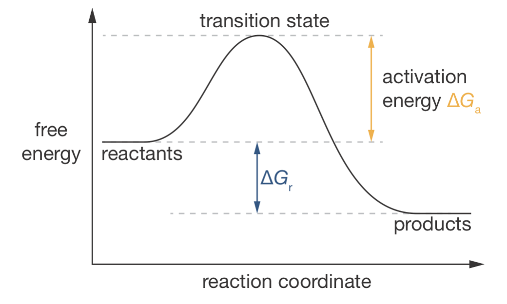 A reaction coordinate diagram showing the free energy profile for a chemical reaction. The reaction coordinate represents the progression through molecular geometric changes (e.g., bonds breaking and forming) as reactants transform into products. The activation energy ($\Delta G_\mathrm{a}$) determines reaction rate, while the reaction free energy ($\Delta G_\mathrm{r}$) determines the position of equilibrium.