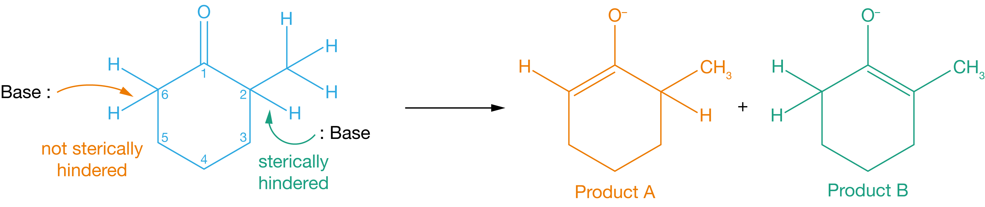 Removing the proton at position 6 gives product A, while removing the proton at position 2 gives product B. The proton at position 2 is more sterically hindered than the proton at position 6, so is harder to remove.