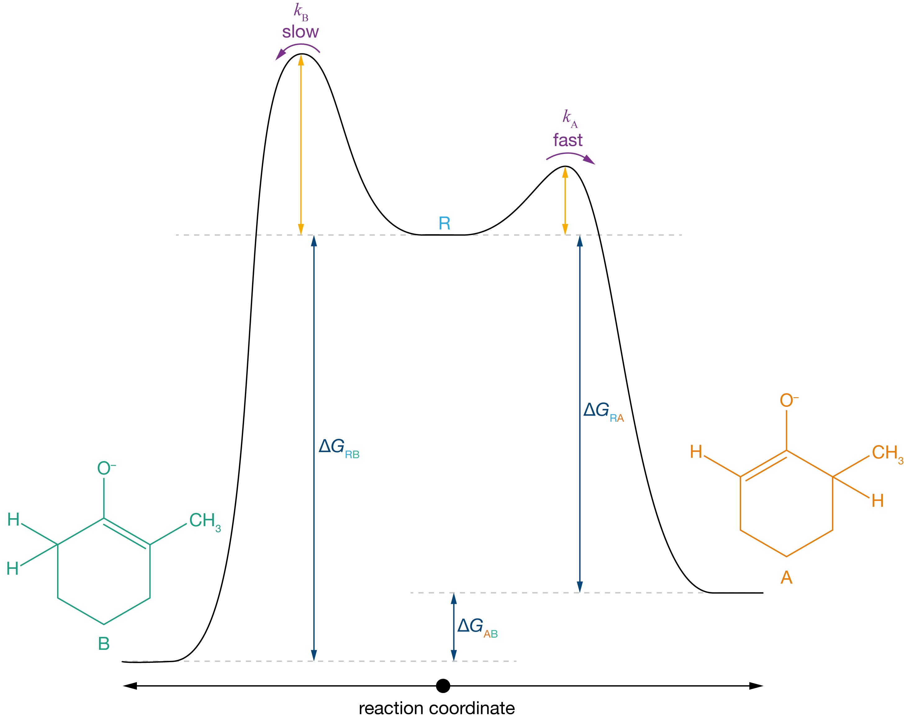 In the presence of a strong base, the position of equilibrium strongly favours both enolates, and both forward reactions are effectively irreversible. The pathway R &rarr; A has a lower activation barrier than the pathway R &rarr; B, so product A is formed faster than product B, resulting in strong selectivity for product A.