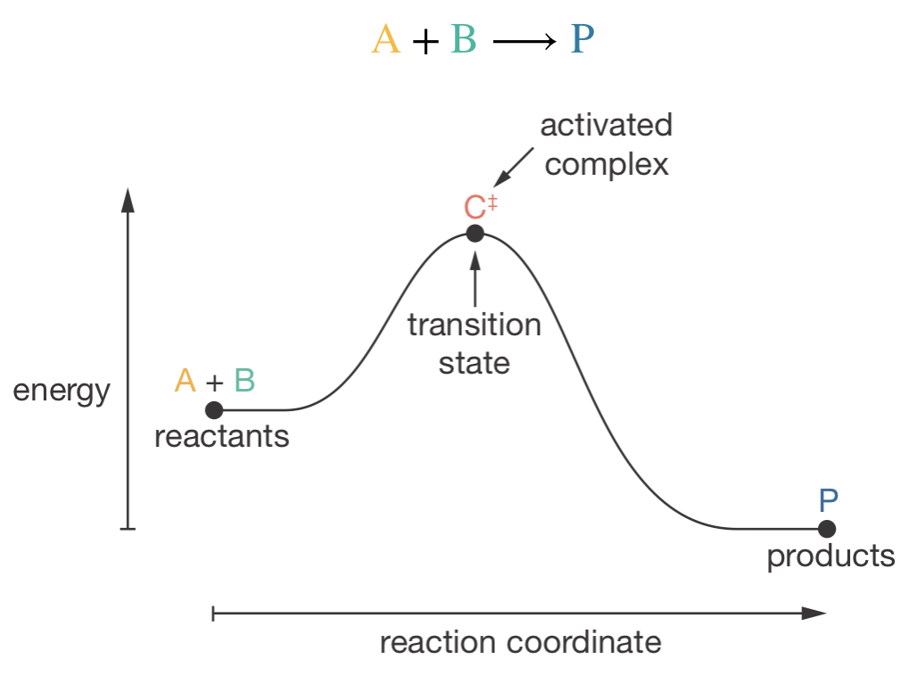 A reaction coordinate diagram for the reaction A + B → P. The energy profile shows the barrier that must be crossed as reactants are converted to products. The peak of this barrier corresponds to the transition state configuration, and the collection of molecules at the transition state form the activated complex, C$^\ddagger$.