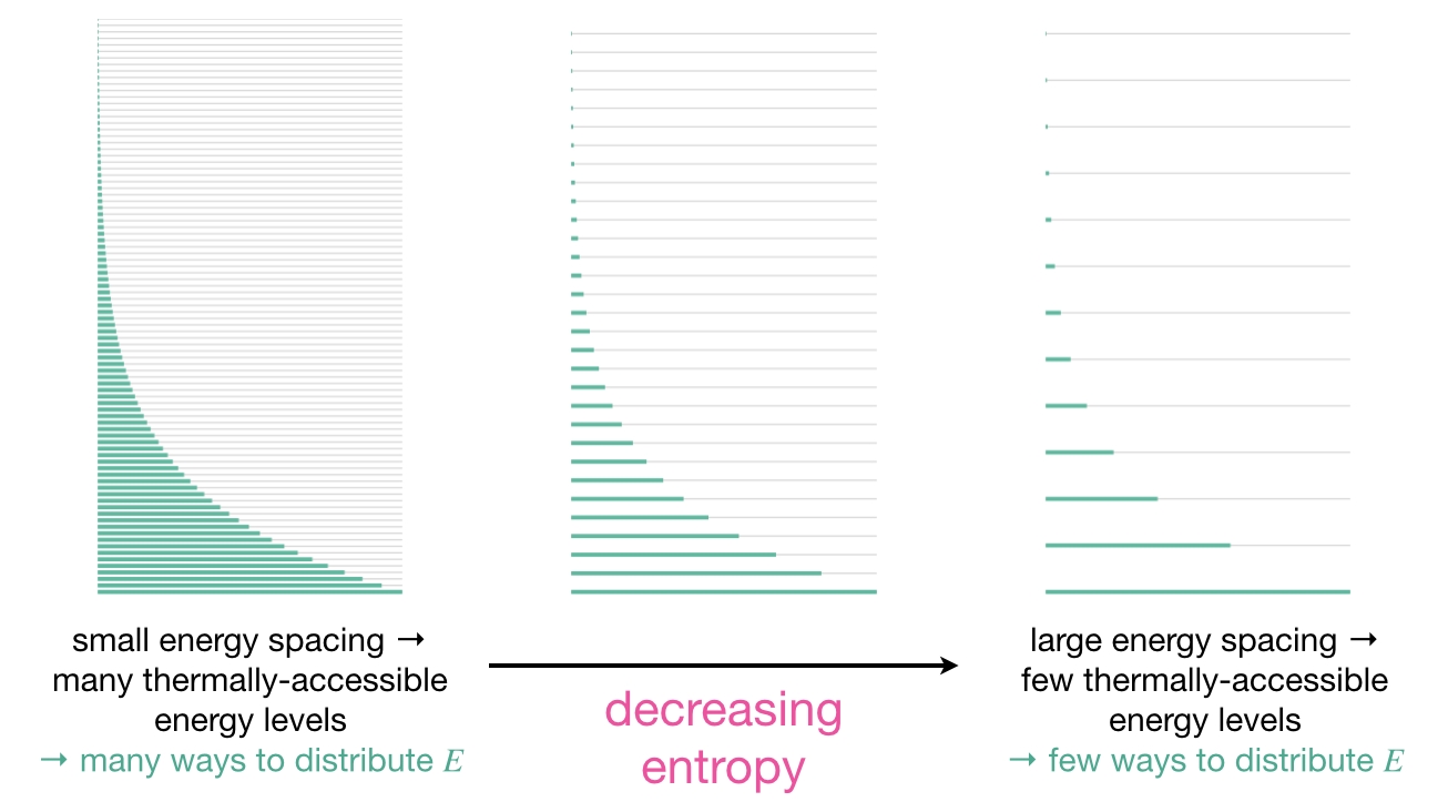 Energy level diagrams for different types of molecular motion. Small energy spacing (left) gives many thermally accessible energy levels and many ways to distribute energy, corresponding to high entropy. Large energy spacing (right) gives few thermally accessible energy levels and few ways to distribute energy, corresponding to low entropy.