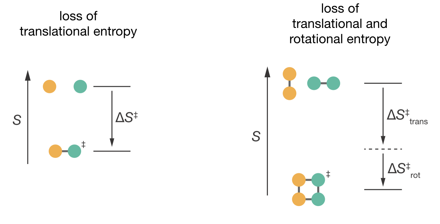 Comparing entropy changes when forming the activated complex. Left: For atomic reactions, forming the activated complex involves only loss of translational entropy. Right: For molecular reactions, forming the activated complex involves loss of both translational and rotational entropy. This additional entropic cost makes $\Delta S^{\ddagger}$ more negative for molecular reactions, leading to smaller pre-exponential factors.