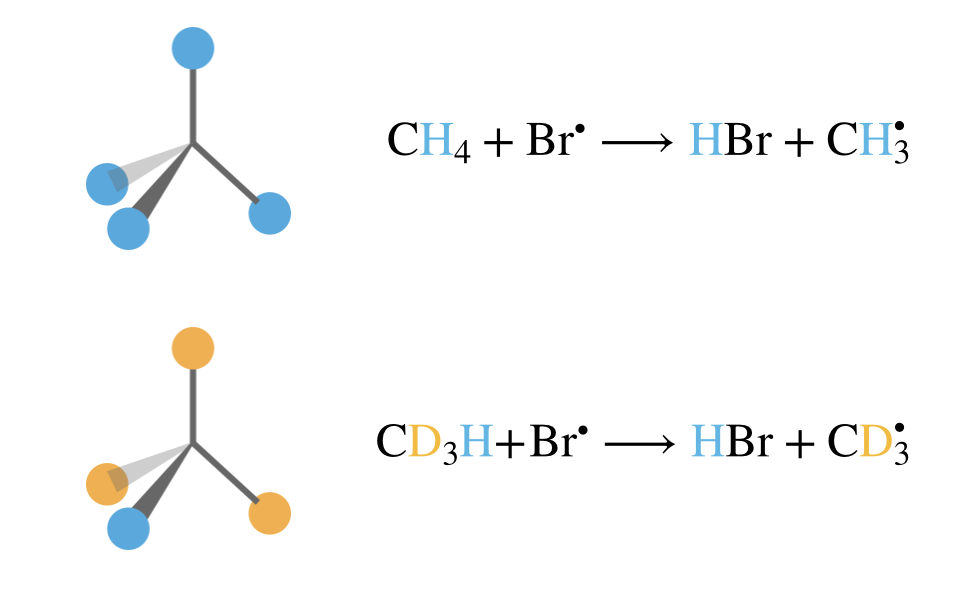 Molecular symmetry affects pre-exponential factors through configurational entropy. Top: In CH$_4$, all four hydrogen atoms (blue) are equivalent, so the bromine radical can abstract any hydrogen to form the same product, giving a statistical factor of $l = 4$. Bottom: In CD$_3$H, only one hydrogen (blue) is available for abstraction whilst the three deuterium atoms (orange) are not, giving $l = 1$. This symmetry difference results in the CH$_4$ reaction being approximately four times faster than the CD$_3$H reaction, even though simple degree-of-freedom counting predicts identical rates.