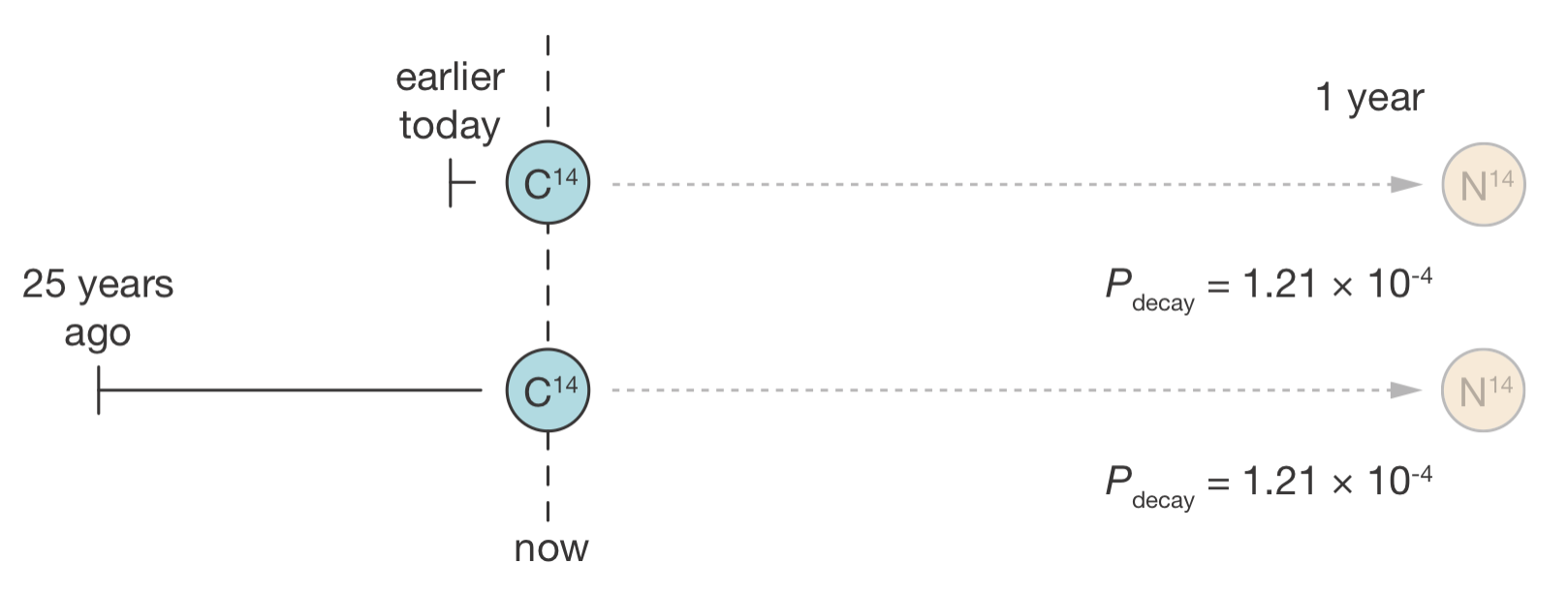 The memoryless property of radioactive decay. Two carbon-14 nuclei—one observed since earlier today, the other since 25 years ago—have exactly the same probability of decaying in the next year. Their history is irrelevant.